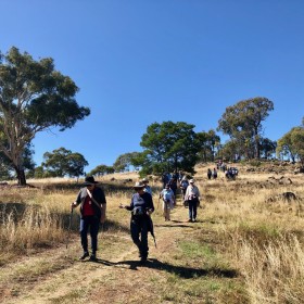 Pinnacle Nature Reserve, 27 March 2019