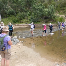 crossing Paddys River 2016 11 23