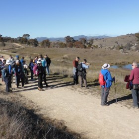 Cooleman Ridge, 30 June 2017