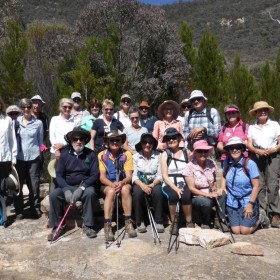 Cypress Pines Lookout on slope of Mt Tennent, 22 November 2017