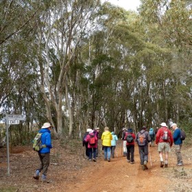 Hume and Hovell Track, Sept 2017