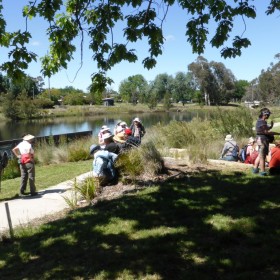 Lyneham Wetlands, 1 November 2017