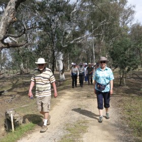 Mulligans Flat Nature Reserve, 26 November 2017