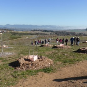 National Arboretum, 14 June 2017