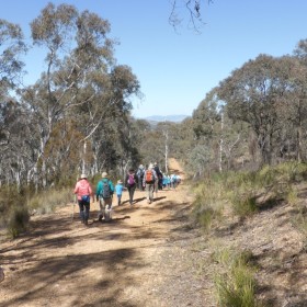 Aranda Bushland, 19 September 2018