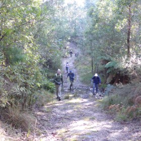 Ashbrook Fire Trail Tidbinbilla, 21 June 2018