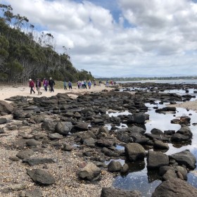 Broulee Island and Batemans Bay Trip, 25 October 2018