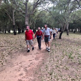 Cork Oaks and the Rock Garden, 2 December 2018