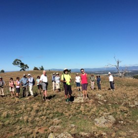 Gecko Hill at Goorooyaroo Nature Reserve, 9 March 2018