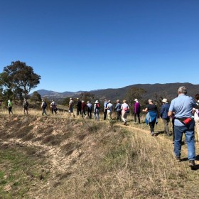 McQuoids Hill and Mt Neighbour, 19 October 2018