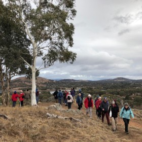 Oxley Hill, 20 July 2018