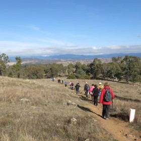 The Pinnacle Nature Reserve, 27 June 2018