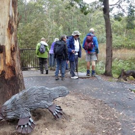 Tidbinbilla NR, 21 December 2018