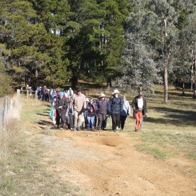 Tuesday Stroll in Kaleen before the AGM, 26 June 2018