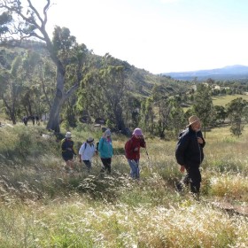 Walking near Kambah on Sunday, 14 January 2018