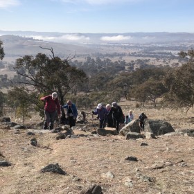 Wanniassa Hills 2018 08 10 Singleton