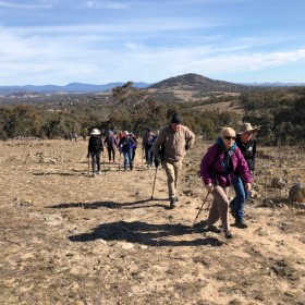 Wanniassa Nature Reserve, 15 August 2018