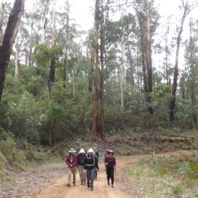 Warks Road in the Brindabellas, 30 August 2018