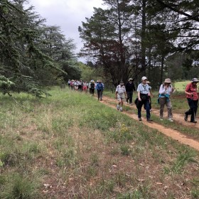 Weston Park and Yarralumla, 19 December 2018