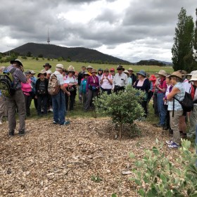 Yarramundi Dreaming, 5 December 2018