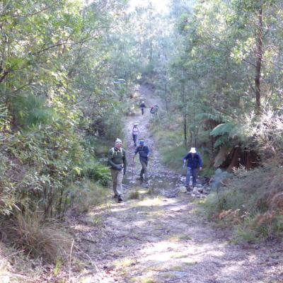 Ashbrook Fire Trail Tidbinbilla, 21 June 2018
