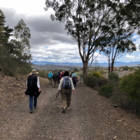 between Mt Sheaffe and Mt Mugga Mugga, 26 September 2018