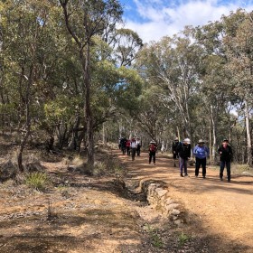 Aranda Bushland, 11 October 2019