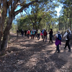 Aranda Bushland, 22 May 2019