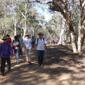 Aranda Bushland, 26 April 2019