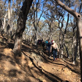 Black Mountain, 2 June 2019