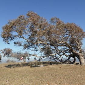 Bullen Range, 6 August 2019