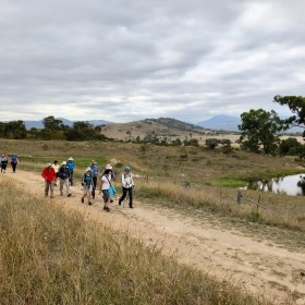 Cooleman Ridge, 22 February 2019