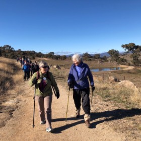 Cooleman Ridge, 5 June 2019