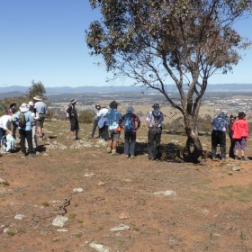 Gecko Hill, 13 November 2019