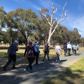 Kambah, 13 October 2019