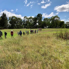 Lake Ginninderra, 6 February 2019