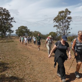 Majura Saddle and Mt Ainslie, 28 March 2019