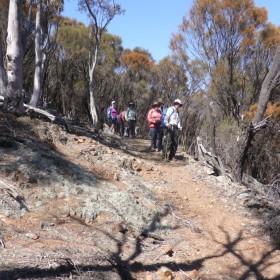 Majura Wall, 15 October 2019