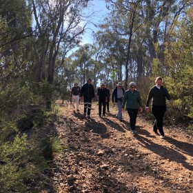 Mt Jerrabomberra, 19 May 2019