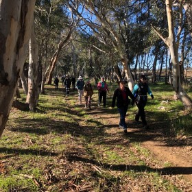 Murrumbateman, 26 June 2019