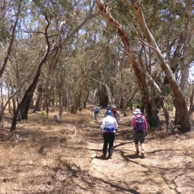 Murrumbateman, 5 December 2019