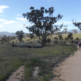 Murrumbidgee Corridor, 7 November 2019