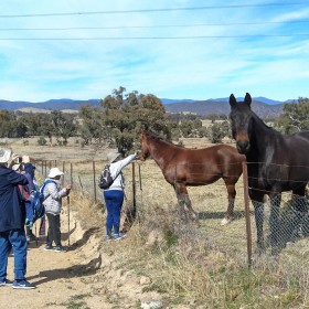 Narrabundah Hill, 10 September 2019