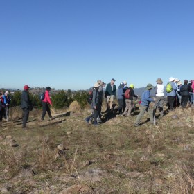 Narrabundah Hill, 31 May 2019