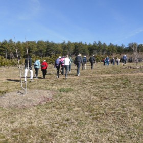 National Arboretum Canberra, 24 July 2019