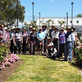 Old Parliament House Rose Garden, 17 November 2019