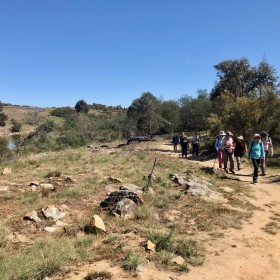 Pine Island to Point Hut, 27 October 2019