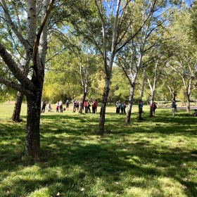 Rest stop at Palmerville, 12 April 2019