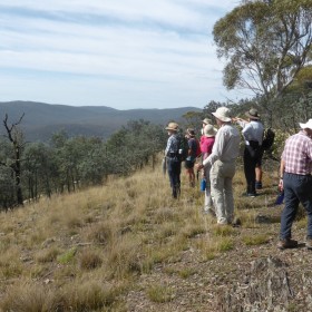 Shanahans Mountain, 7 February 2019