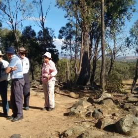 The Pinnacle, 12 March 2019